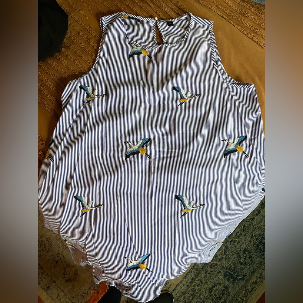 Striped dress with embroidered birds